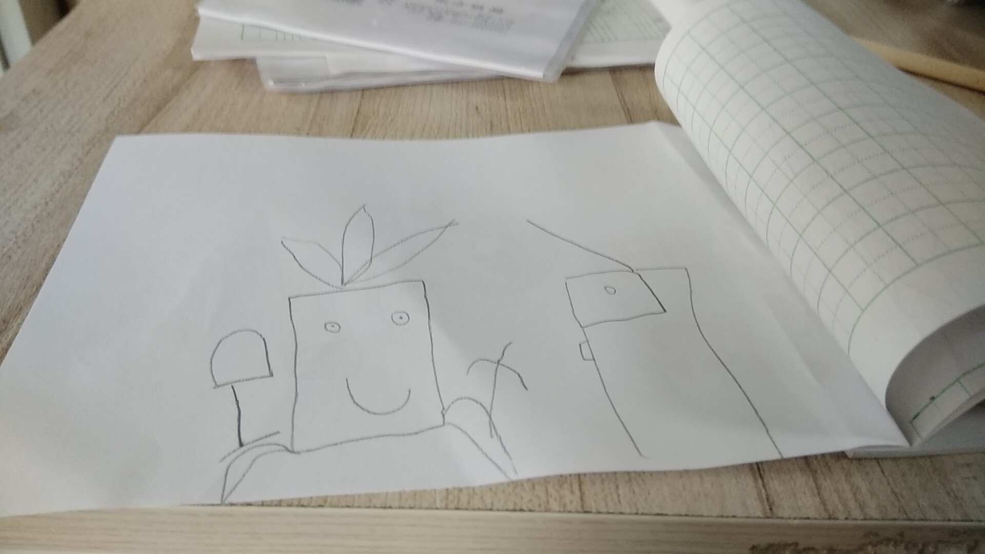 白萝卜正在做陷阱