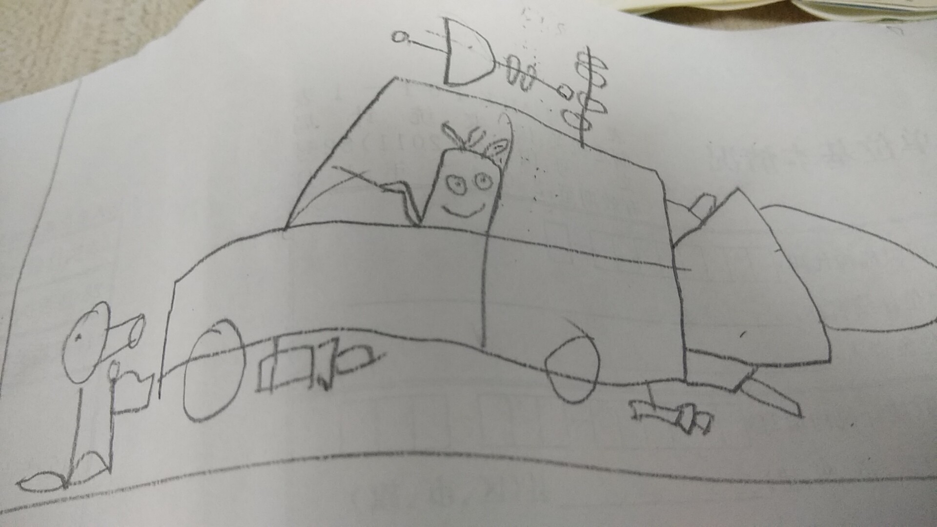 白萝卜登上时空穿梭机